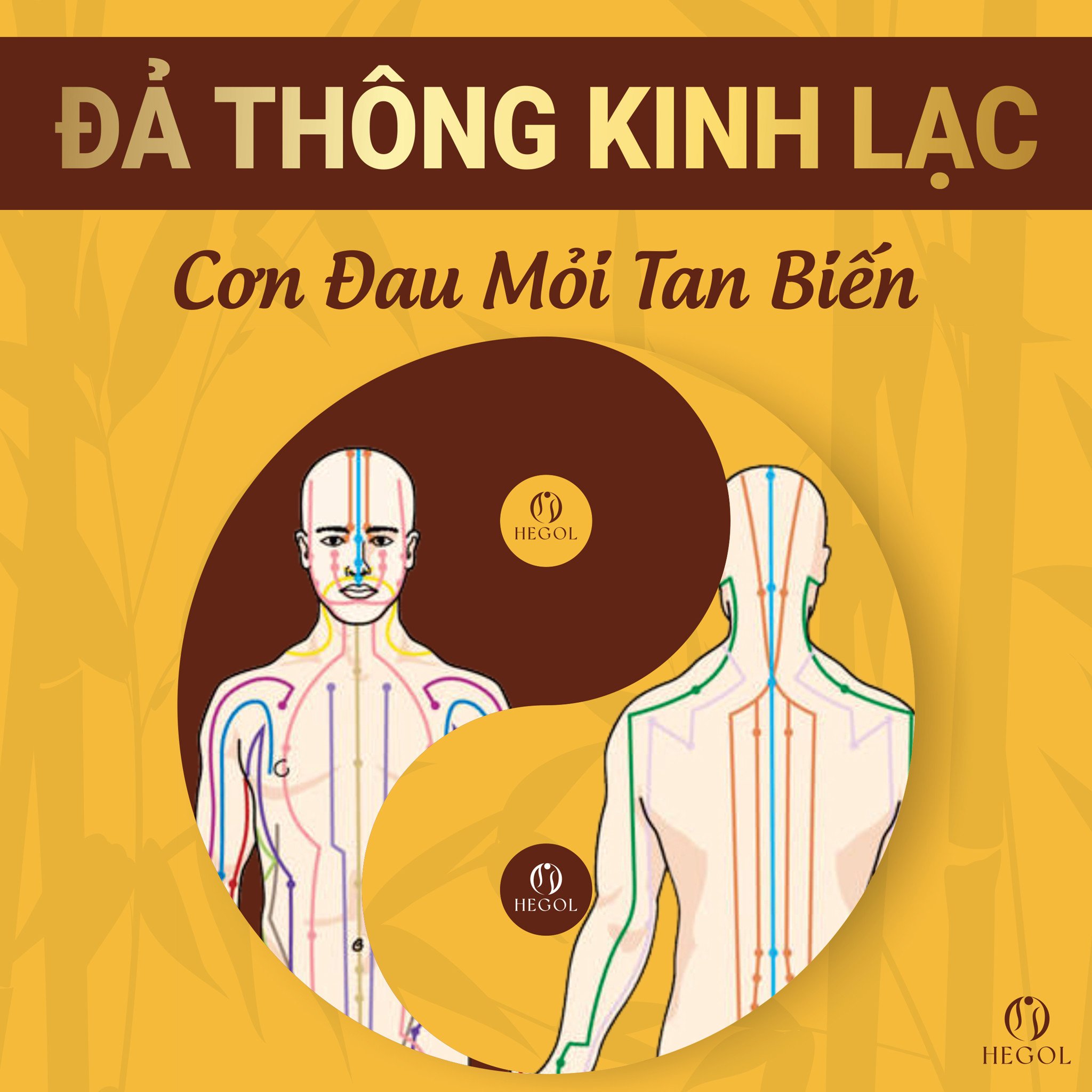 Sơ đồ Các Huyệt đạo Trên Mặt Của Diện Chẩn Có Bao Nhiêu Huyệt đạo Trên Mặt 